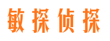 鹤山市私家侦探